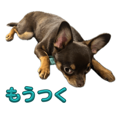 nakano_20260528180112