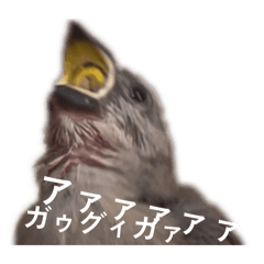 MASAKI_20260528180128