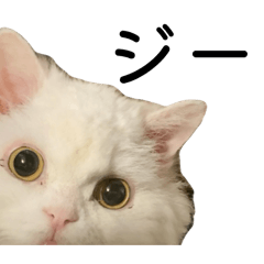 Riiiii_20260528180644