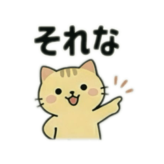 m-cha_20260528181443