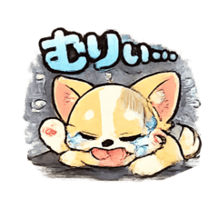 KEIGO_20260528183237