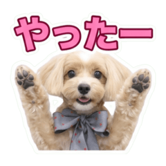 marupunomoka