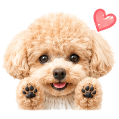 kotarou_20260527233611