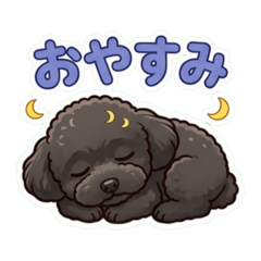 yuka_20260528110241