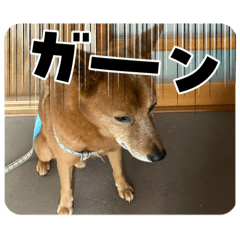 yumikanta_20260528121855