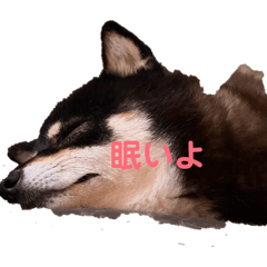 Natsu-bbaque_20260528193937