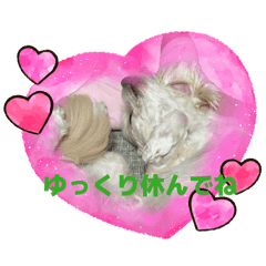 HIROKO_20260528194710