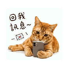 Me when_20260608134503