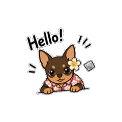 Mini pin-Dodo_Diamond & Hawaii