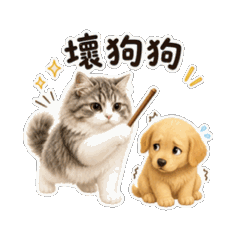Kimi_20260608230353