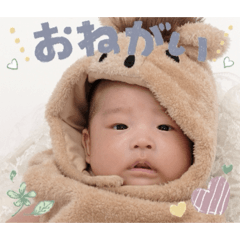 pchan_20260527223804