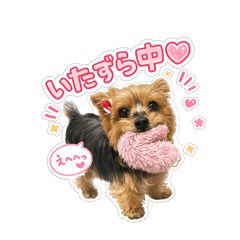 mama♡Love♡