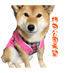 yk_202605