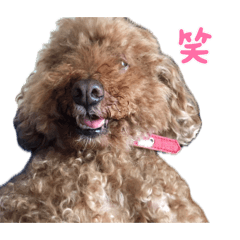 ayame_20260528220727