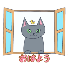Hana_20260528113550
