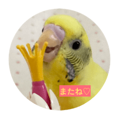 sora123sora
