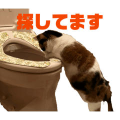 puritarou_20260528210208