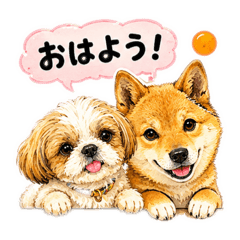 a-ko_20260528210400