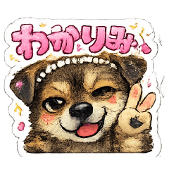 cha_20260528210641