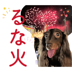 mentaikofrance_20260528211503