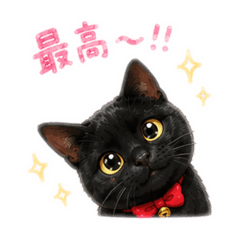 Makorin_20260528221318