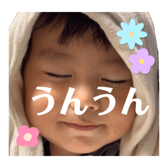 kohaku_20260528221535