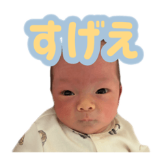 pokochan_20260528123330