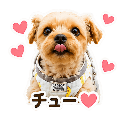 haru_20260528123112