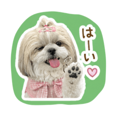 peanuts_20260528225135