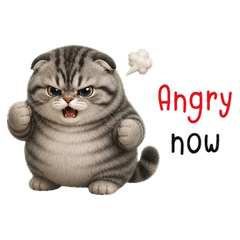 Smoky Chubby Tabby Kitten(EN)