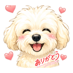 Junko.T_20260524234801