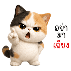 可愛貓咪日常日常日常日常!
