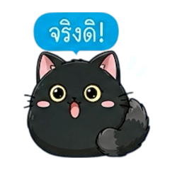 Chubby chub black cat