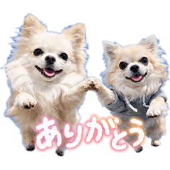 Ai_Pets