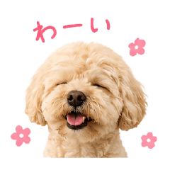 runrun_20260602001255
