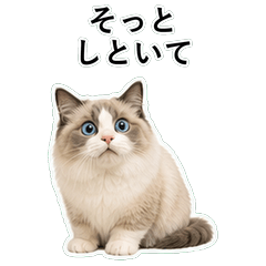 貓咪搞笑真心話 C005