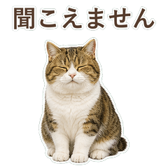 貓咪真心話 C120