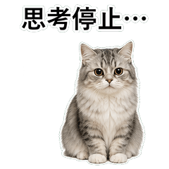 貓咪搞笑真心話 C007
