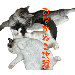 nyan,s_20260604111815