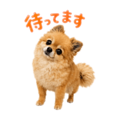 Moko_20260603113832