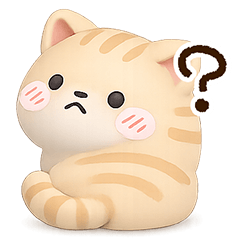 Cute  round Tiger cat