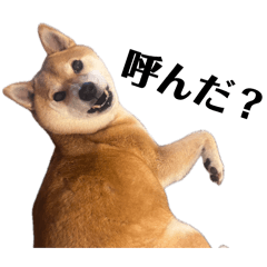 Kirakirastar_20260609212704