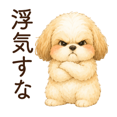 Shih Tzu(Jealous)(spoiled child)