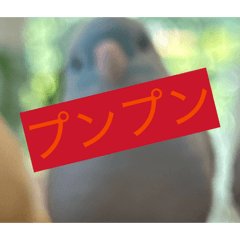 kokona_20260525105324