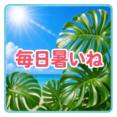 Summer Flowers x Daily Greeting Stickers