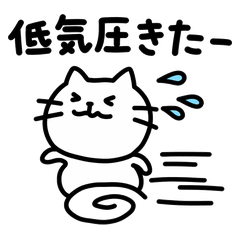 Weather-Tired Loose Cat