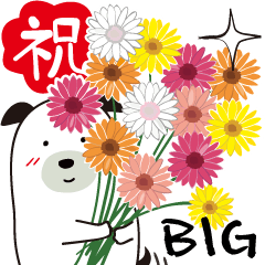 Celebration and Thank You BIG Sticker