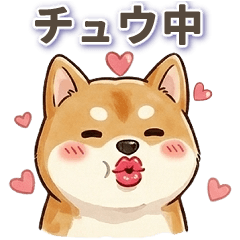 柴犬の何々中スタンプ