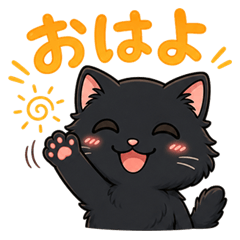 Fluffy Black Cat Feelings