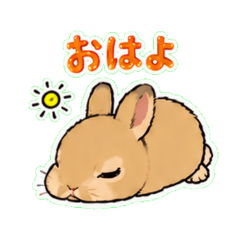 231usagi